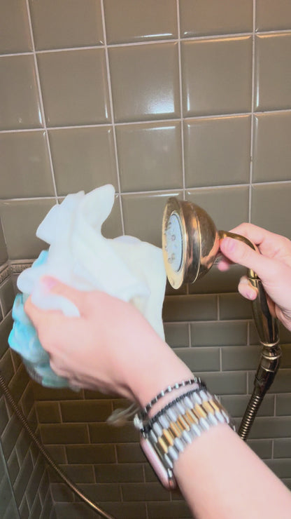 Shower Diffuser Loofah